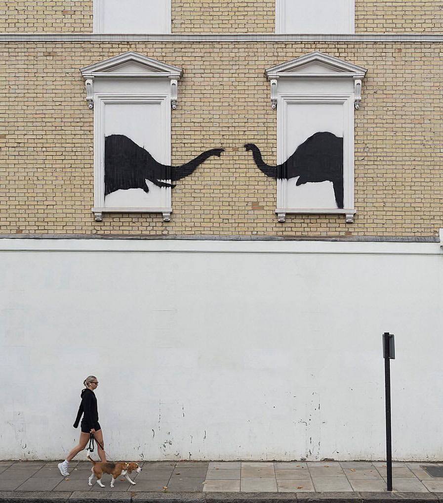 Capră, elefanți și maimuțe: Banksy a creat noi graffiti la Londra