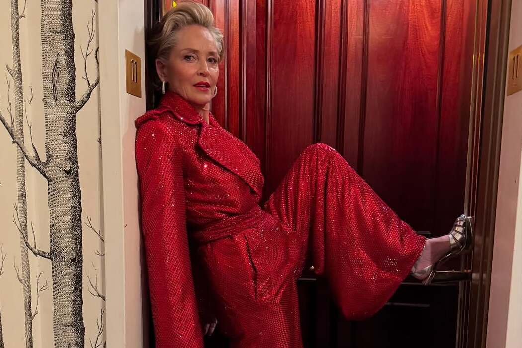 Total red: Sharon Stone a participat la un eveniment caritabil la New York