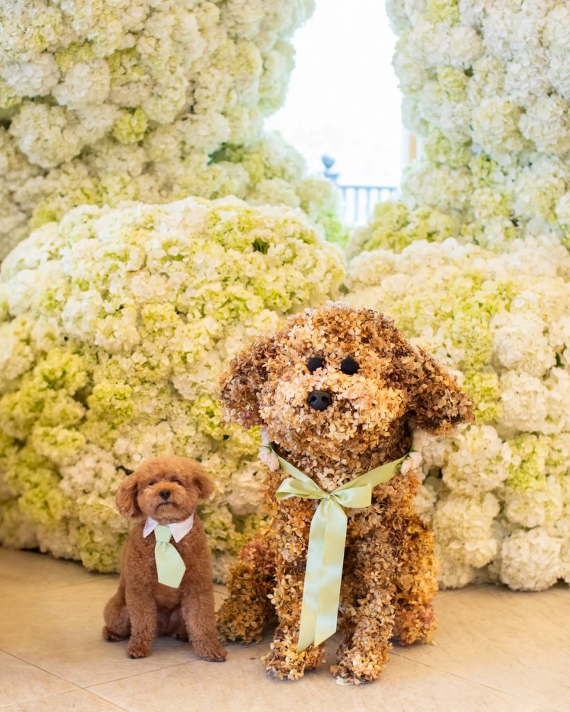 Așteptând primul său copil: Olivia Culpo a organizat un baby shower luminos