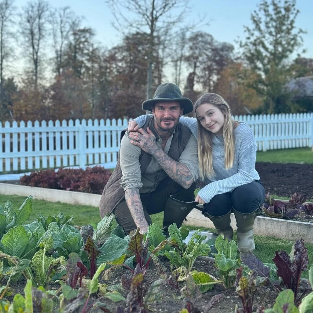 David Beckham va deveni redactor-șef al unei reviste despre viața la țară.