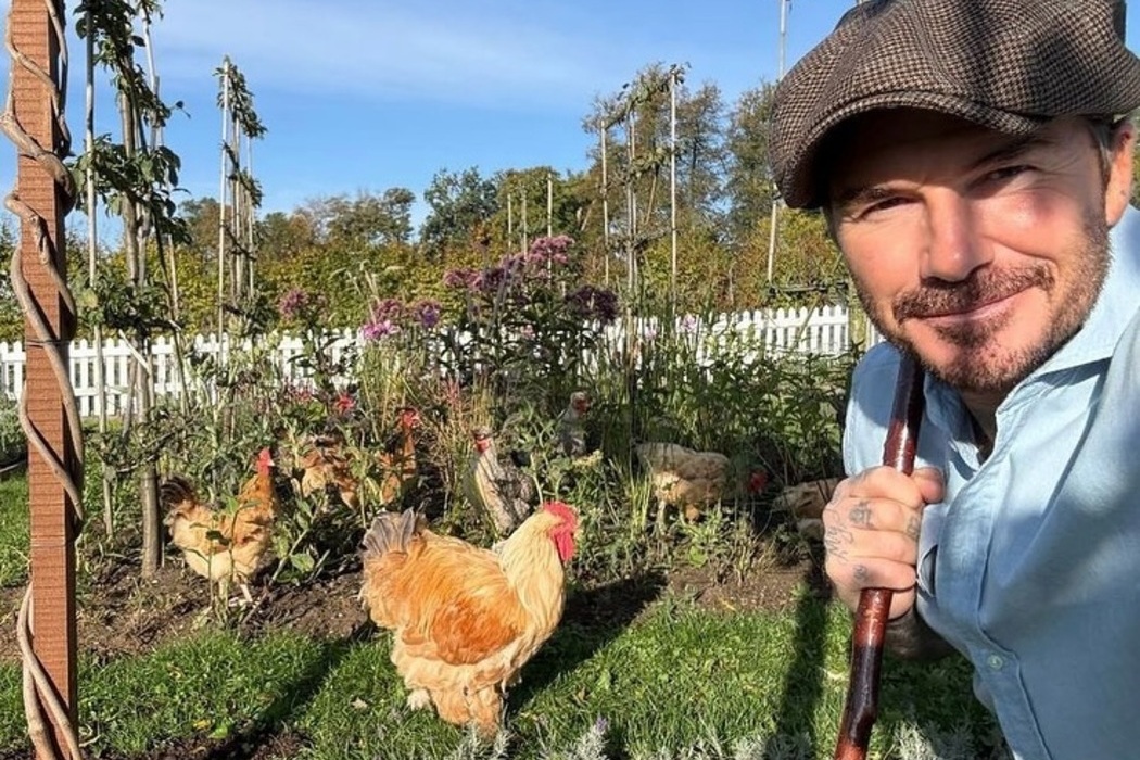 David Beckham va deveni redactor-șef al unei reviste despre viața la țară.