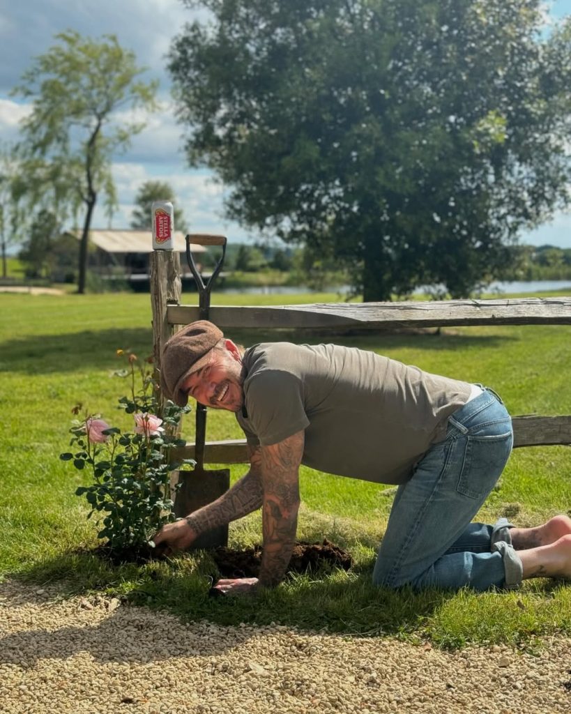 David Beckham va deveni redactor-șef al unei reviste despre viața la țară.